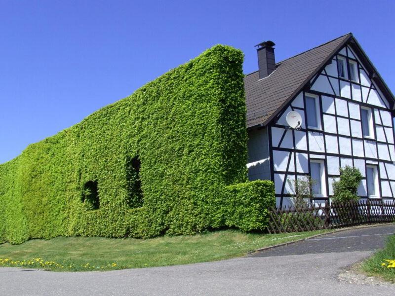Ferienwohnung Eifel-Life Simmerath Exterior foto